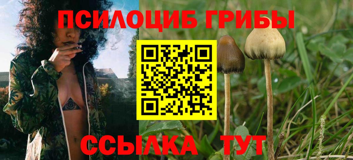 Галлюциногенные грибы Psilocybine cubensis  Вход с VPN  Крымск 