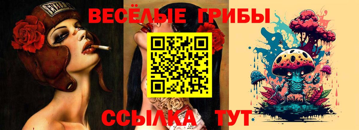 Галлюциногенные грибы ЛСД Крымск